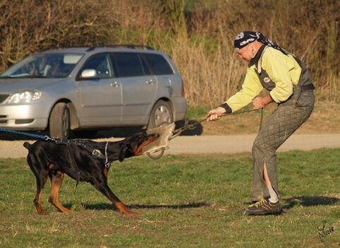 Training in Prague 3/2007